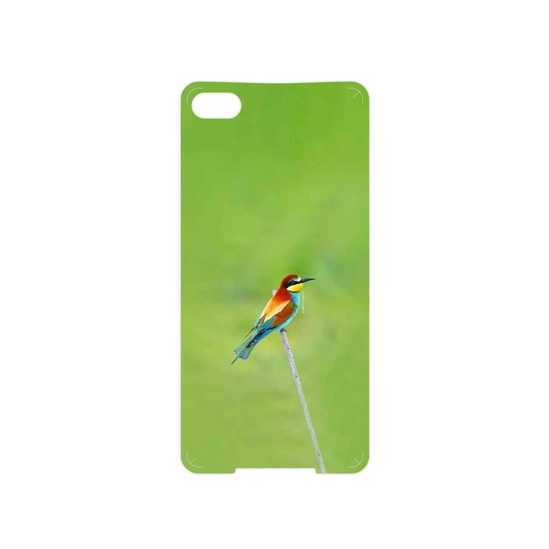 برچسب پوششی ماهوت مدل European bee-eater مناسب برای گوشی موبایل بلک بری Z30