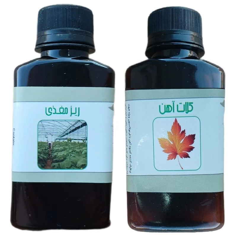 کود مایع کلات آهن و پتوس مدل life drop حجم 110 میلی لیتر بسته 2 عددی