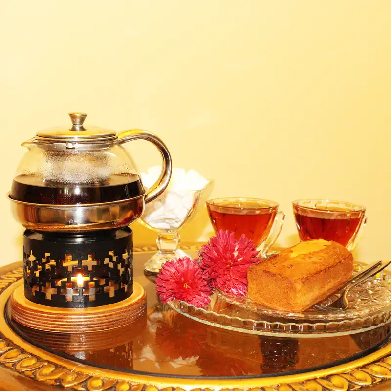 وارمر قوری مدل VN 102