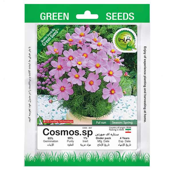 بذر ستاره ای صورتی گیلدا کد 837