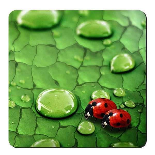  زیر لیوانی طرح کفشدوزک و  شبنم کد nzl651