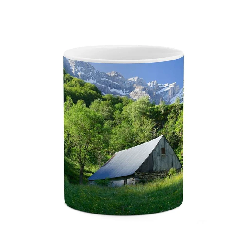 ماگ کاکتی مدل خانه ای در جنگل کد mgh11278