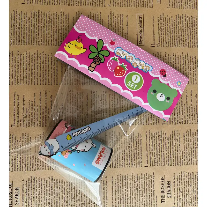 خط کش 15 سانتی متر مدل مولانگ توت فرنگی کد 50 به همراه جامدادی رومیزی