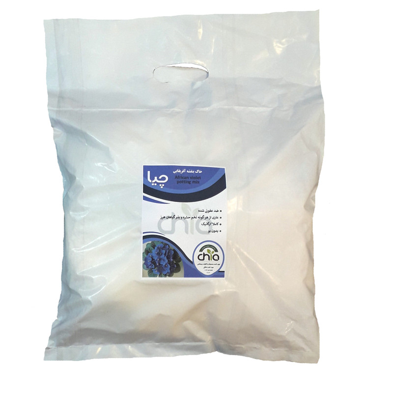 خاک بنفشه آفریقایی چیا کد AV02 حجم 2 لیتر