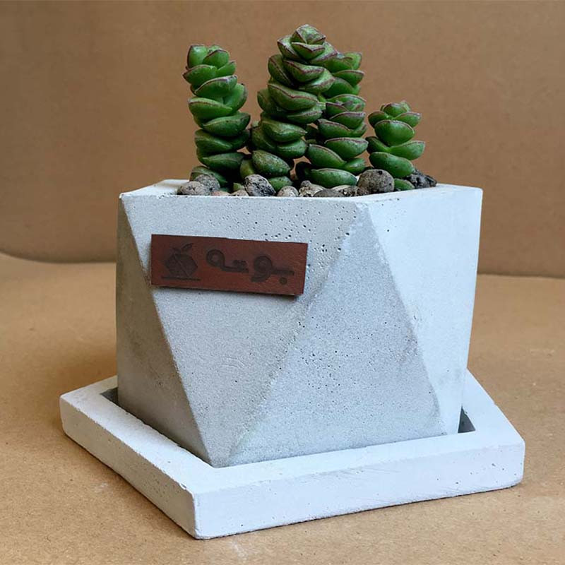 گلدان بوته کد Pn1