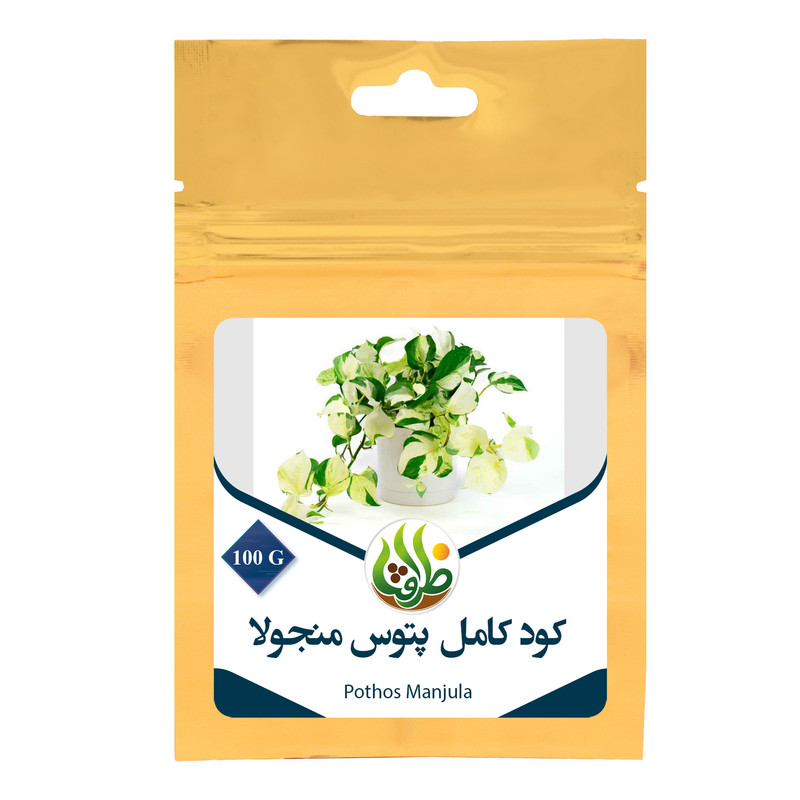 کود تقویتی مخصوص پتوس منجولا ظرافت مدل KO21583 وزن 100 گرم