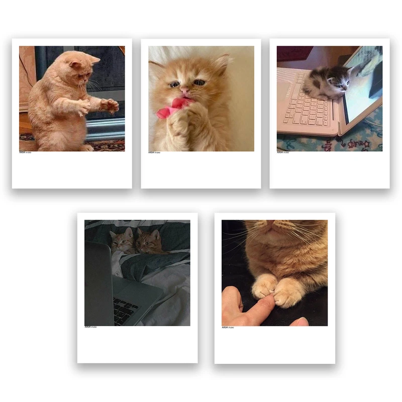 آویز تزیینی عرش مدل فانتزی گربه بامزه کد Asa353 مجموعه پنچ عددی