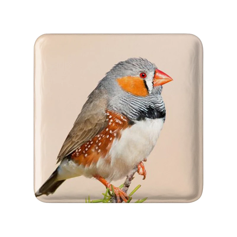 پیکسل خندالو طرح پرندگان زینتی مدل مربعی کد 30496