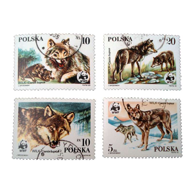 تمبر یادگاری مدل گرگ کد bc-1892 مجموعه 4 عددی