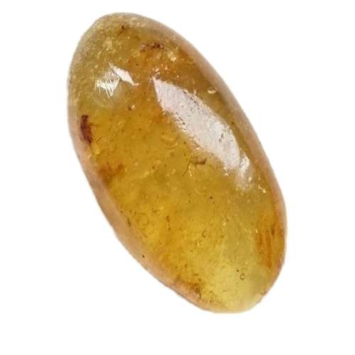 سنگ کهربا مدل حشره دار بالتیک طبیعی کد 06