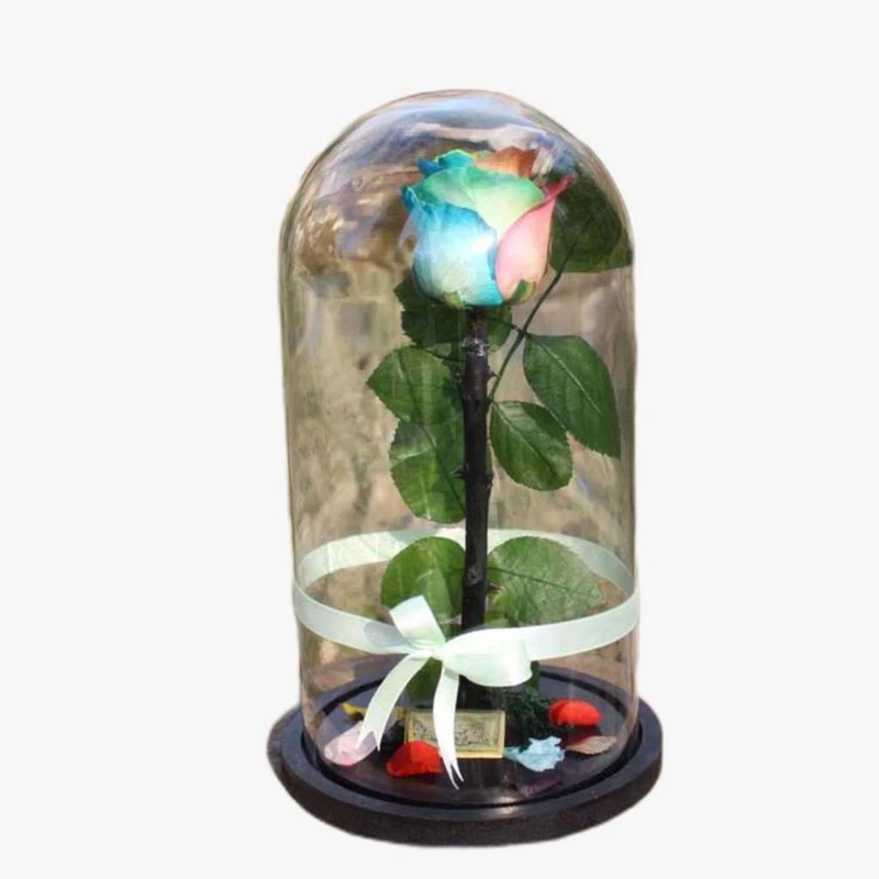 گل رز جاودان مدل دیو دلبر 