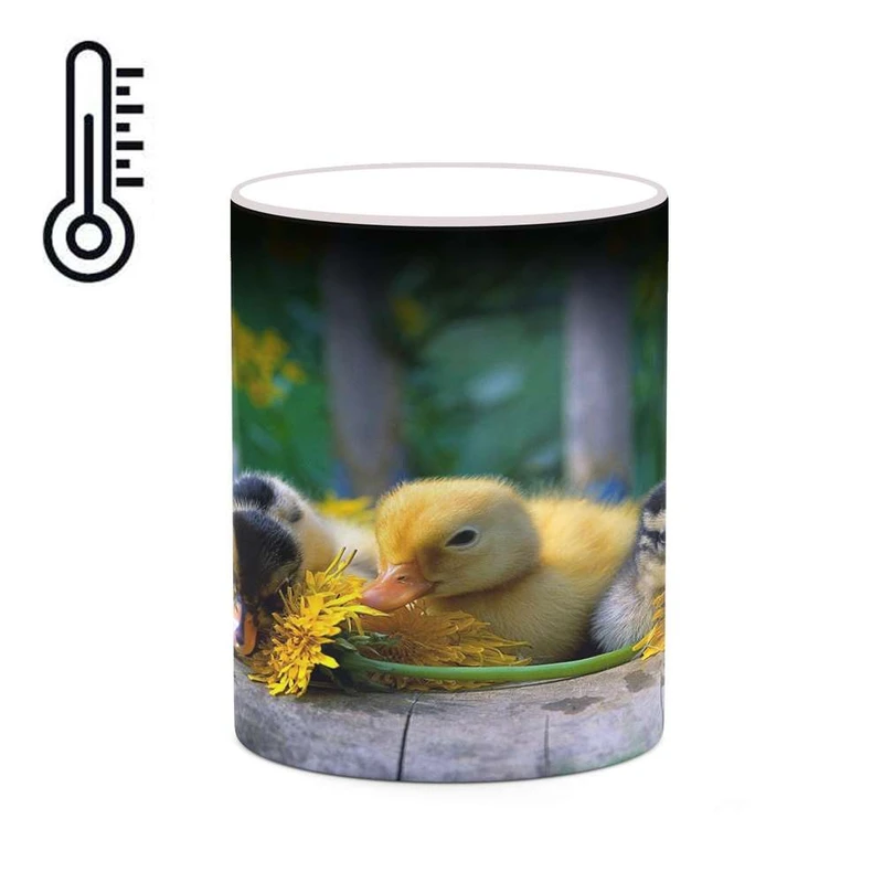 ماگ حرارتی کاکتی مدل جوجه کد mgh19219