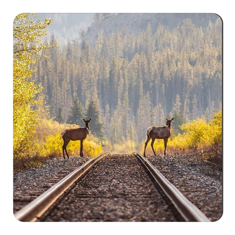 مگنت طرح ریل قطار و گوزن جنگلی کد wmg4199