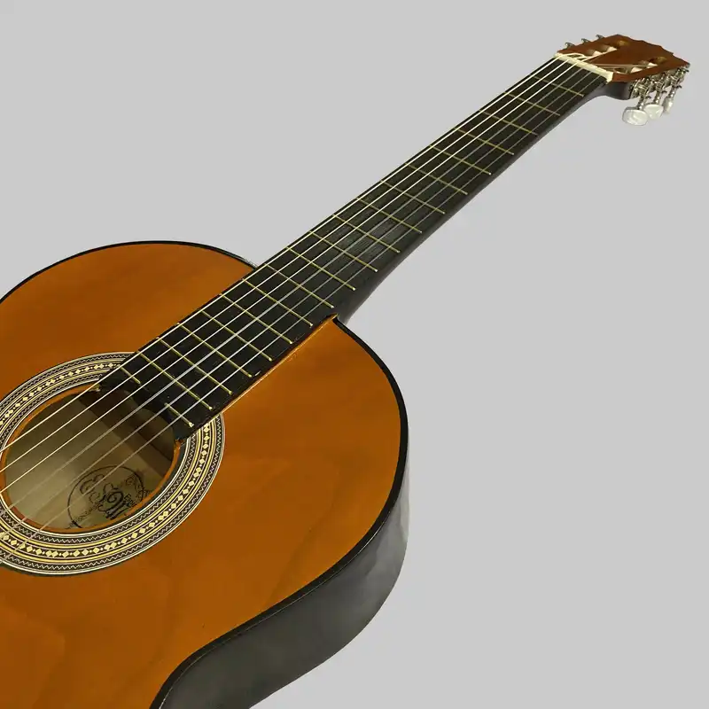 گیتار کلاسیک اسپیروس مارکت مدل C80