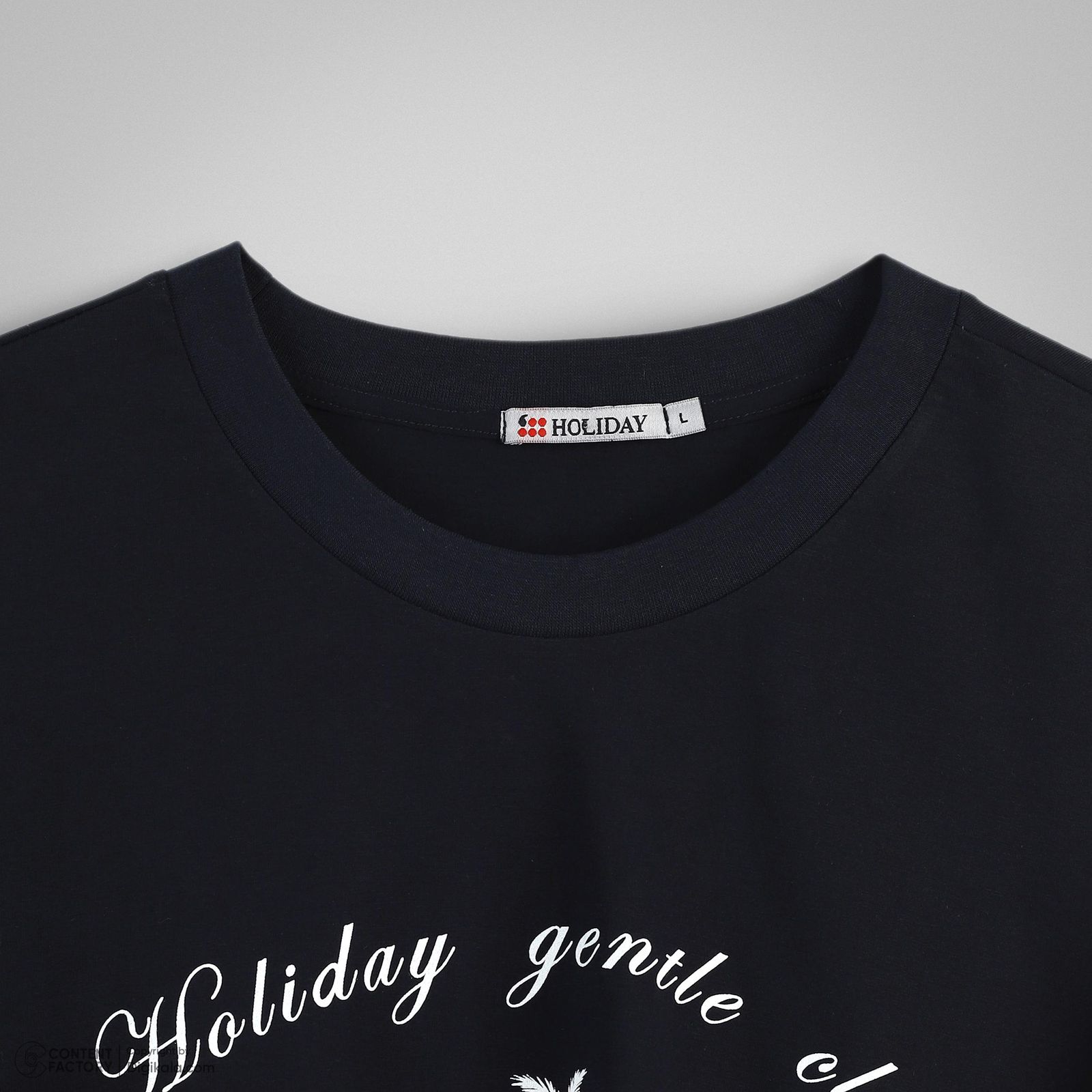 تی‌شرت آستین کوتاه مردانه هالیدی مدل D10104 -  - 3