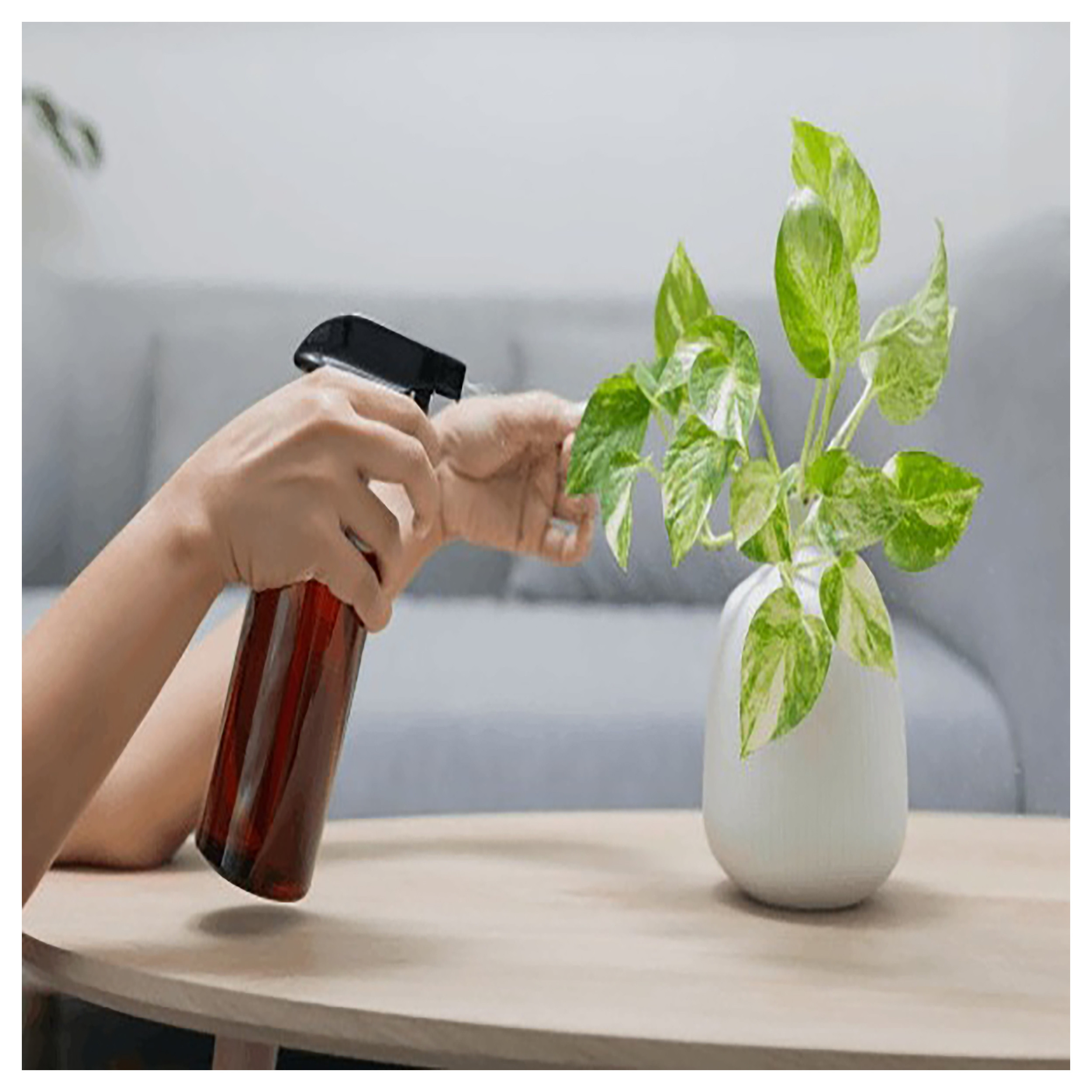 کود کلات آهن گرین ورد مدل p50 مناسب گیاهان و درختان میوه دار وزن 50گرم کود کلات آهن گرین ورد مدل p50 مناسب گیاهان و درختان میوه دار وزن 50گرم