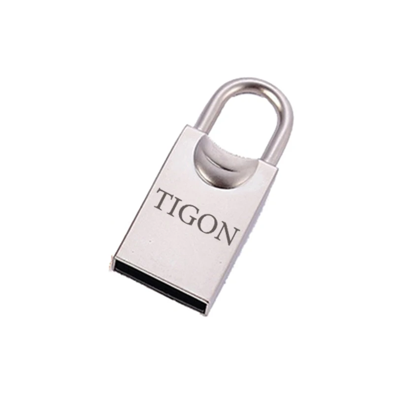 فلش مموری تایگون مدل P93 ظرفیت 4 گیگابایت با رابط USB 2.0