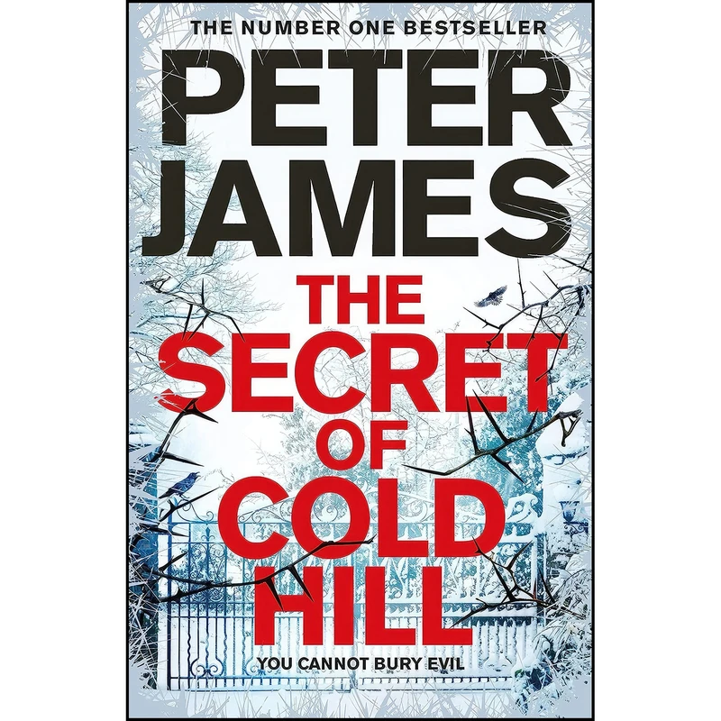 کتاب The Secret of Cold Hill اثر Peter James انتشارات Macmillan