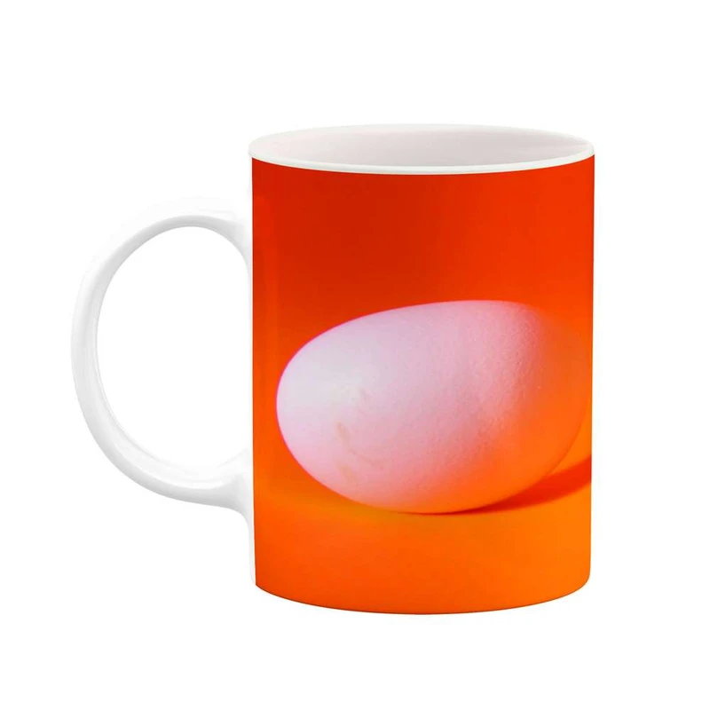 ماگ کاکتی مدل فانتزی کد mgh16806