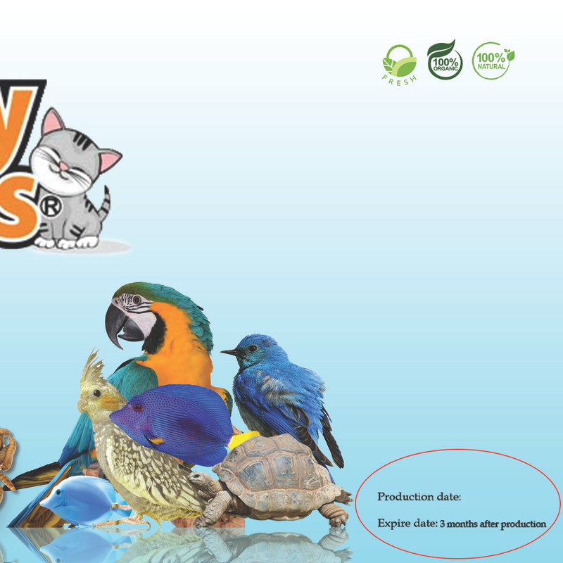 غذای تشویقی پرندگان مای پتز مدل Mealworm وزن 40 گرم