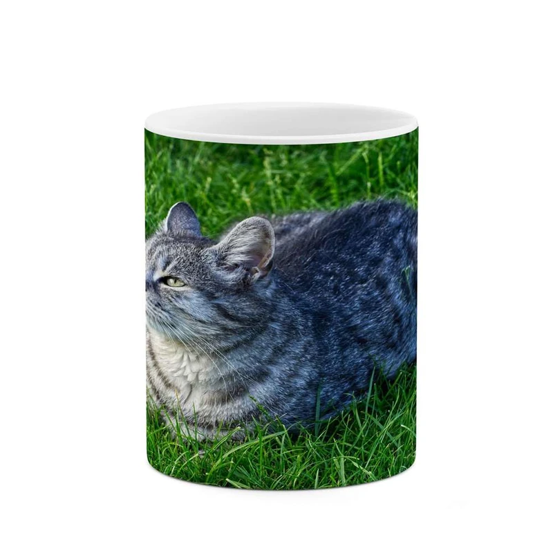 ماگ کاکتی مدل گربه کد mgh14653