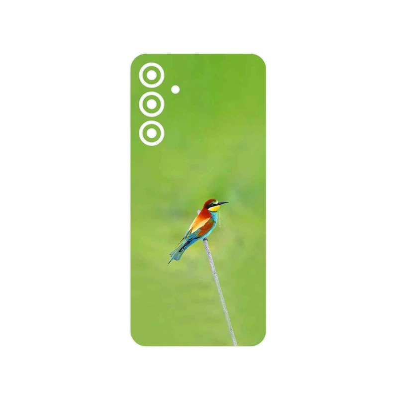 برچسب پوششی ماهوت مدل European bee-eater مناسب برای گوشی موبایل سامسونگ Galaxy A16 5G