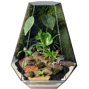 تراریوم ترارتوس مدل 04