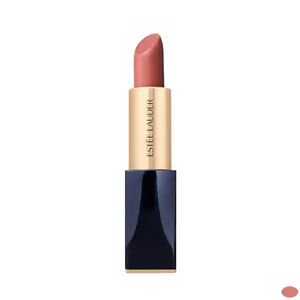 رژ لب جامد استی لودر مدل Pure Color Envy Matte شماره 333