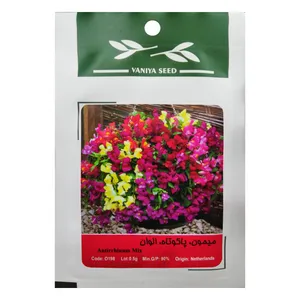 بذر گل میمون پاکوتاه الوان وانیا سید مدل O198