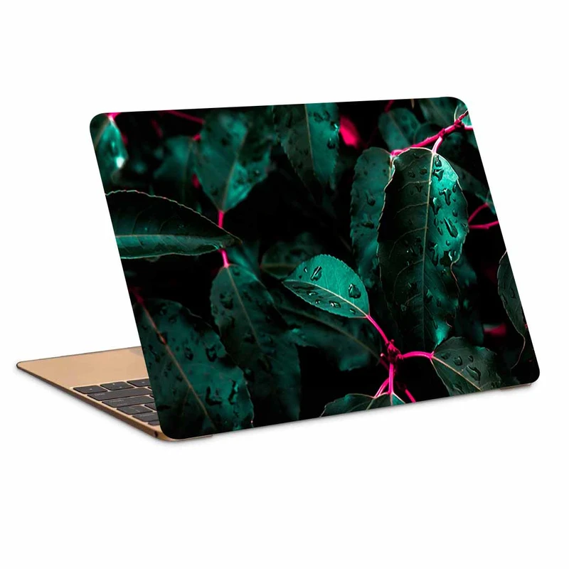 استیکر لپ تاپ طرح leaves drops bush کد N-322 مناسب برای لپ تاپ 15.6 اینچ