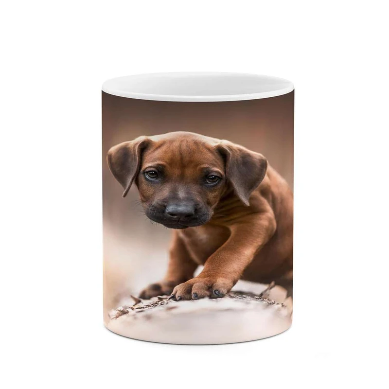 ماگ کاکتی مدل سگ کد mgh16300