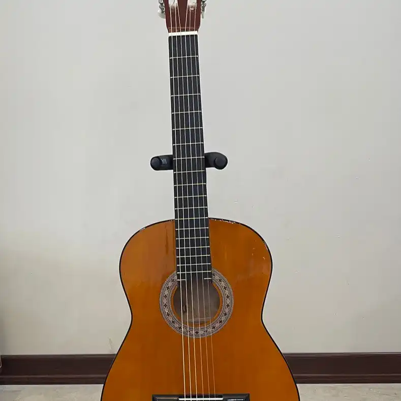 گیتار مدل C70