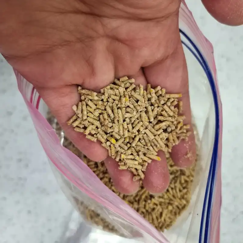 غذای پرندگان کاسنر مدل پارس دانه ریز وزن 3000 گرم