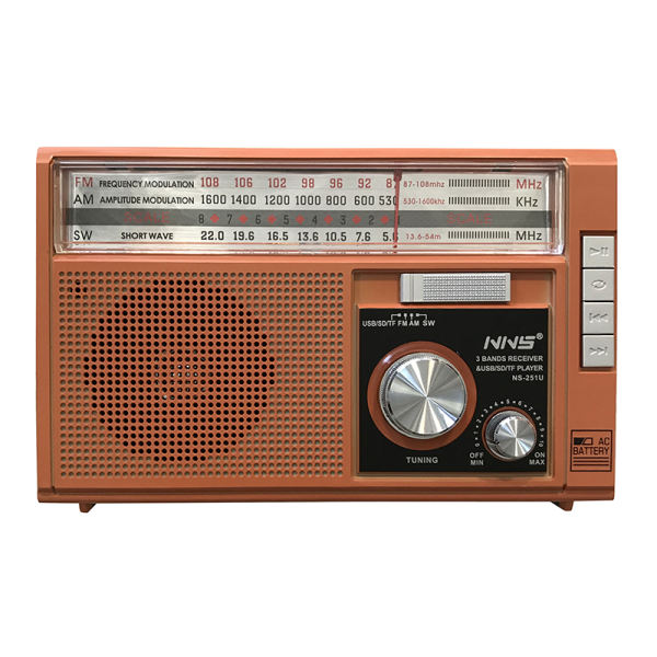 رادیو مدل NNS-251