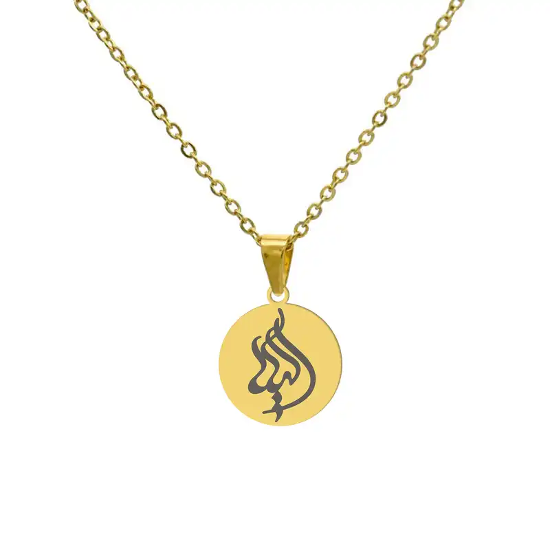 گردنبند هایکا مدل h-ha36 طرح الیکا