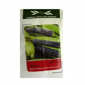 بذر ذرت آبی وانیاسید کد Z41 