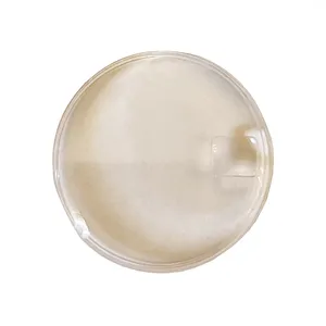 شیشه ساعت مچی سیکو مدل 190W01ALOO-18.18