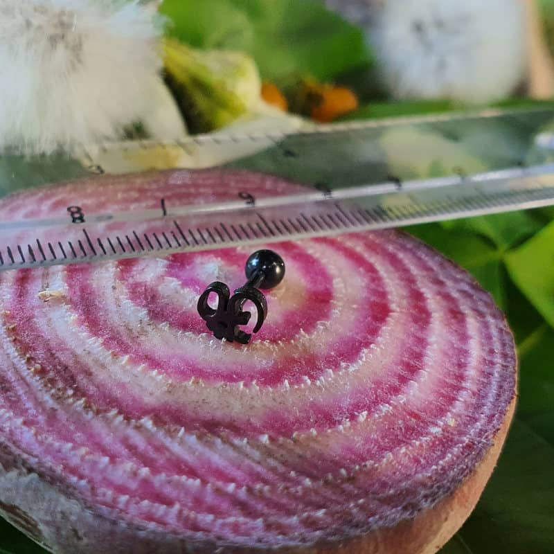 پیرسینگ گوش زنانه پایتخت مدل PS318 پیرسینگ گوش زنانه پایتخت مدل PS318