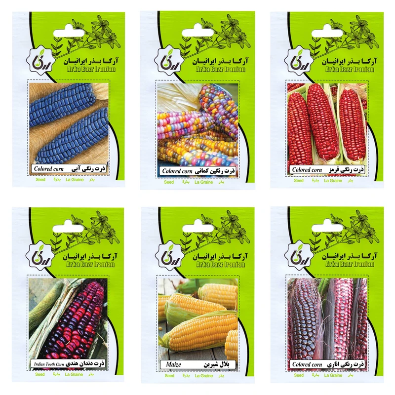 بذر ذرت همه رنگ آرکا بذر ایرانیان کد ARK-A-ARK-06 وزن 100 گرم مجموعه 6 عددی