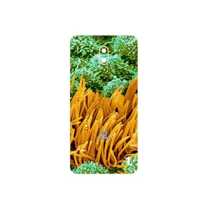 MAHOOT Atom Universe 6 Cover Sticker for Nokia 2