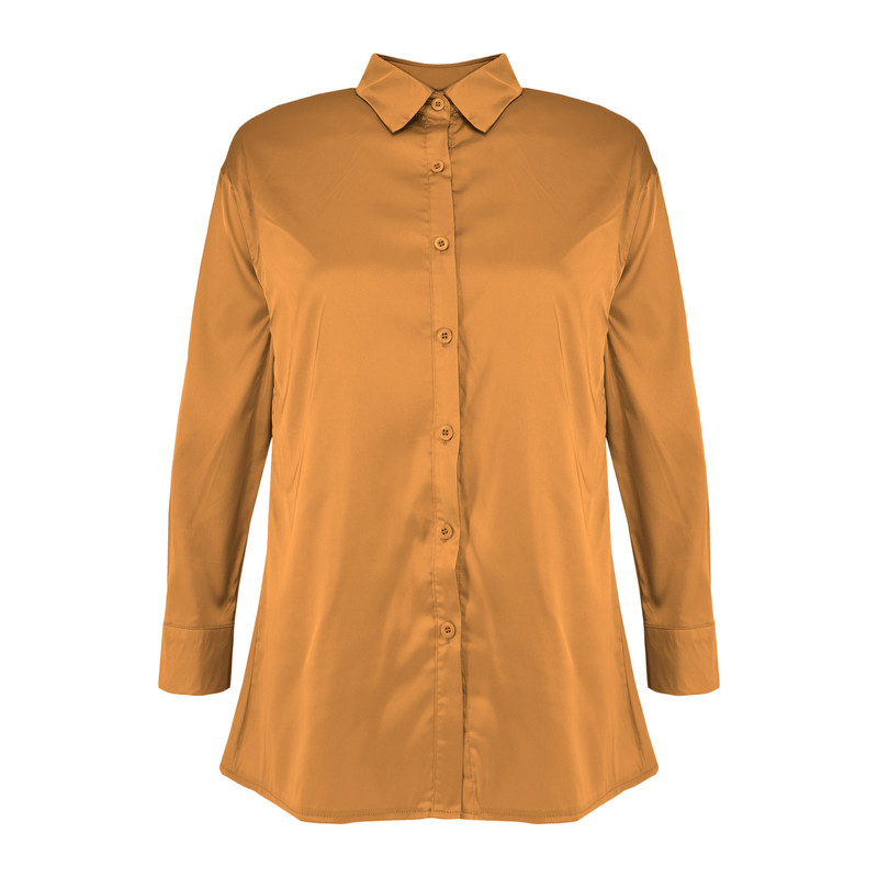 شومیز آستین بلند زنانه شین کد 3286