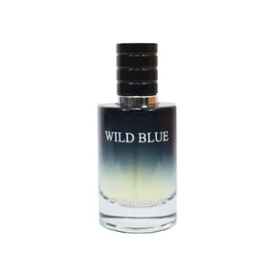 عطر جیبی مردانه جانوین مدل Wild blue حجم 25 میلی لیتر
