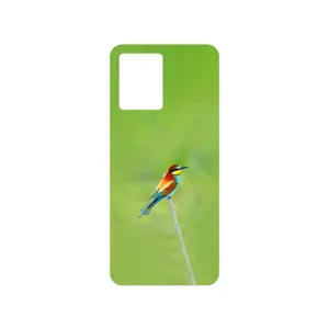 MAHOOT European bee-eater Cover Sticker for Oppo Reno 8 4G