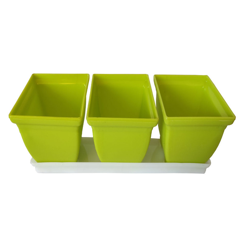 سینی نشا مدل جوانه 3تایی