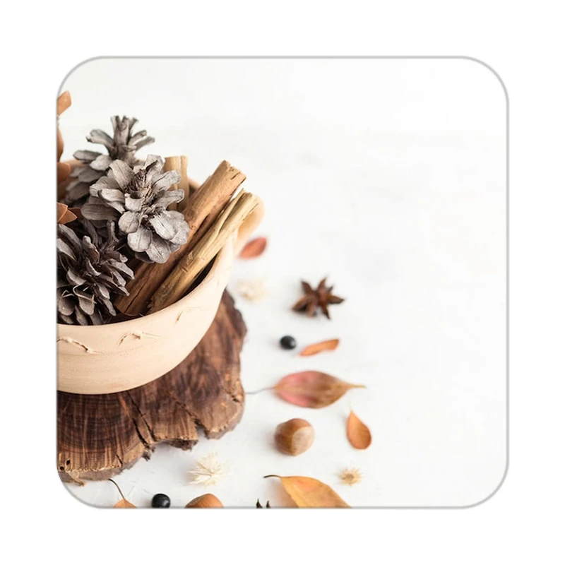 زیر لیوانی کاکتی طرح گل مدل mp17948