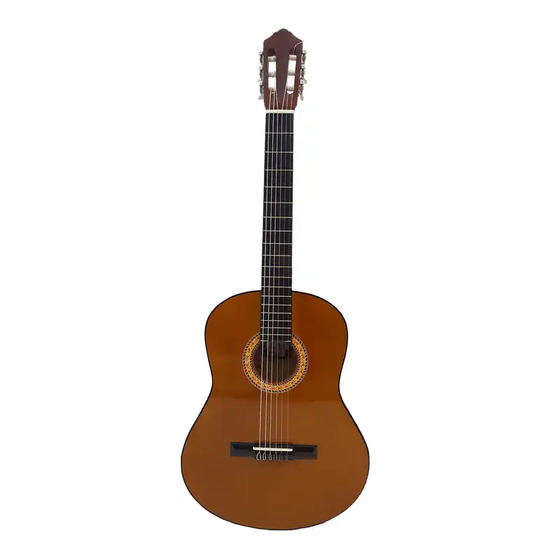 گیتار مدل C40