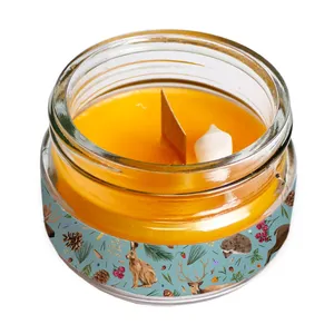 شمع لیوانی طرح فانتزی حیوانات مدل C355