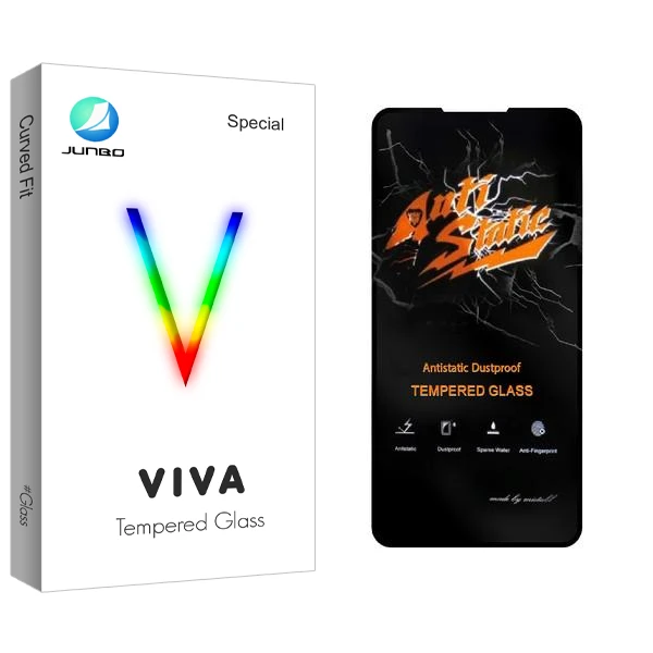 محافظ صفحه نمایش جانبو مدل Viva Anti Static مناسب برای گوشی موبایل شیائومی Poco X3 Pro