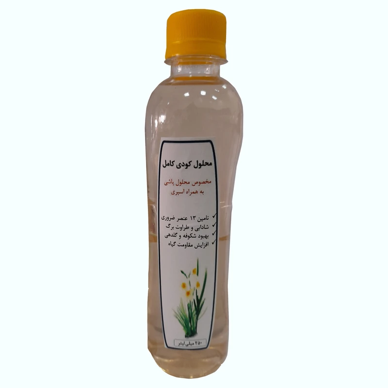 محلول کودی کامل مخصوص گیاهان آپارتمانی  مدل B06 حجم 350 میلی لیتر
