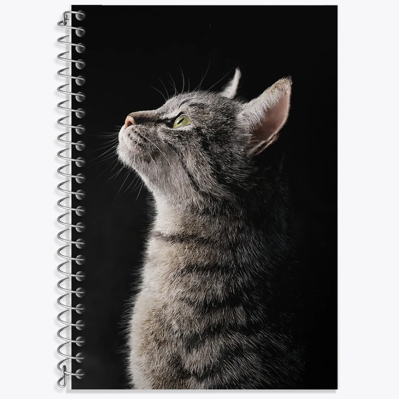 دفتر زبان 50 برگ خندالو مدل دو خط طرح گربه (Cat) کد F588